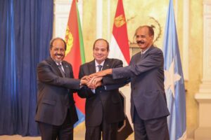 Somalia, Eritrea Leaders Discuss Regional Tensions