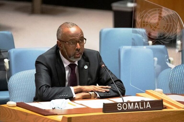 Somalia Backs UN Sanctions on Iran