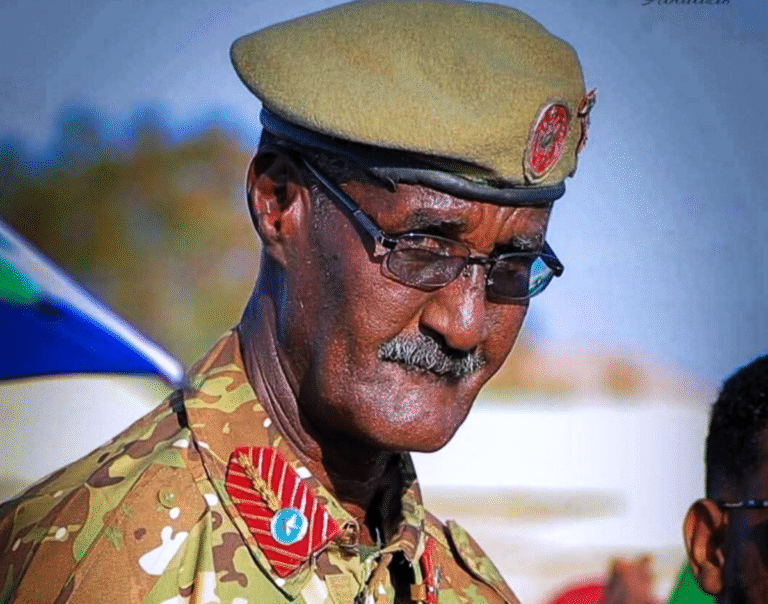 Somali general killed in roadside explosion