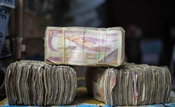 Somalia Enforces Shilling Use Amid Currency Dispute